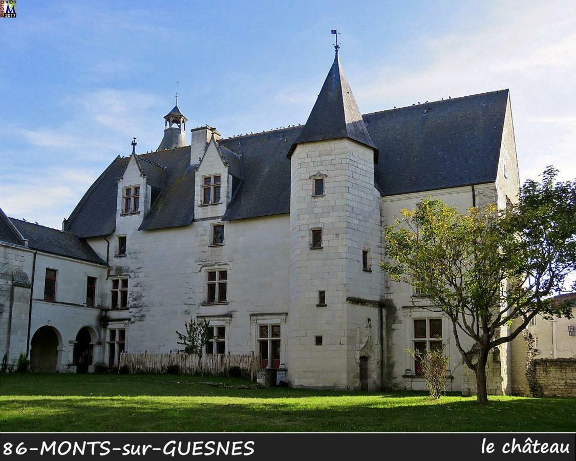 Monts-sur-Guesnes Domaine De Bourgville المظهر الخارجي الصورة